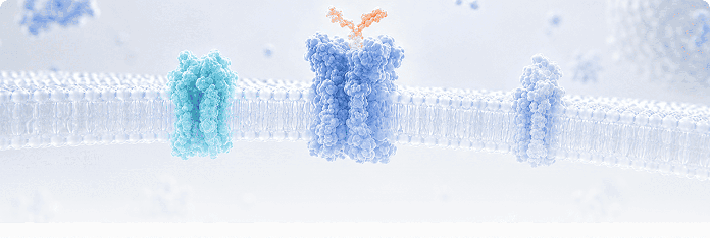 Multi-pass Transmembrane Proteins